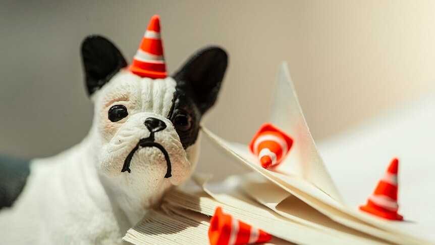 Colour close-up photo of French bulldog figurine with traffic cones rests on corner of dog-eared book.