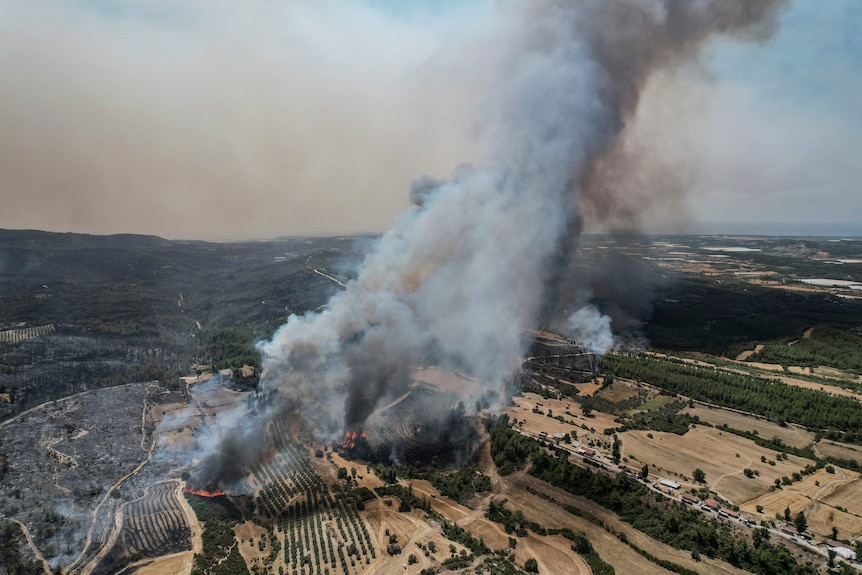 一张航拍照片显示土耳其地中海沿海城镇马纳夫加特附近的 Kakarlar 村发生森林火灾