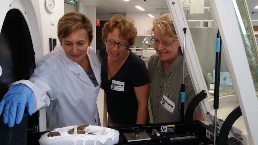 lab technicians standing over night parrot