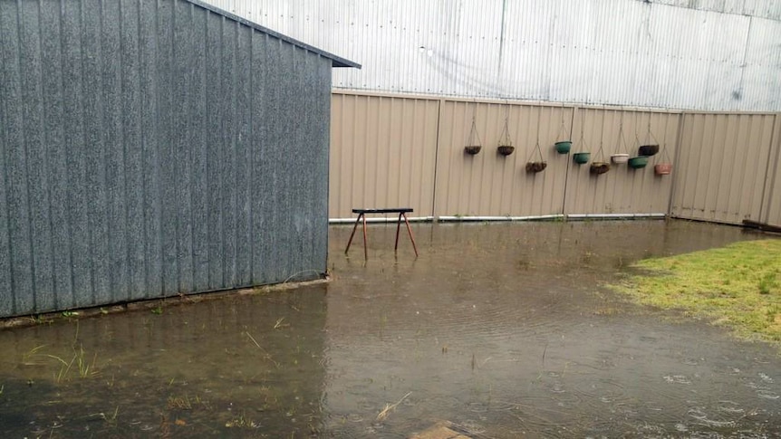 Flooded backyard