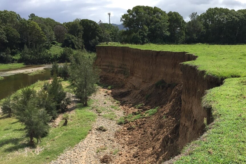 Showing the extent of the erosion at the Carter's farm and how it cut into the bank.