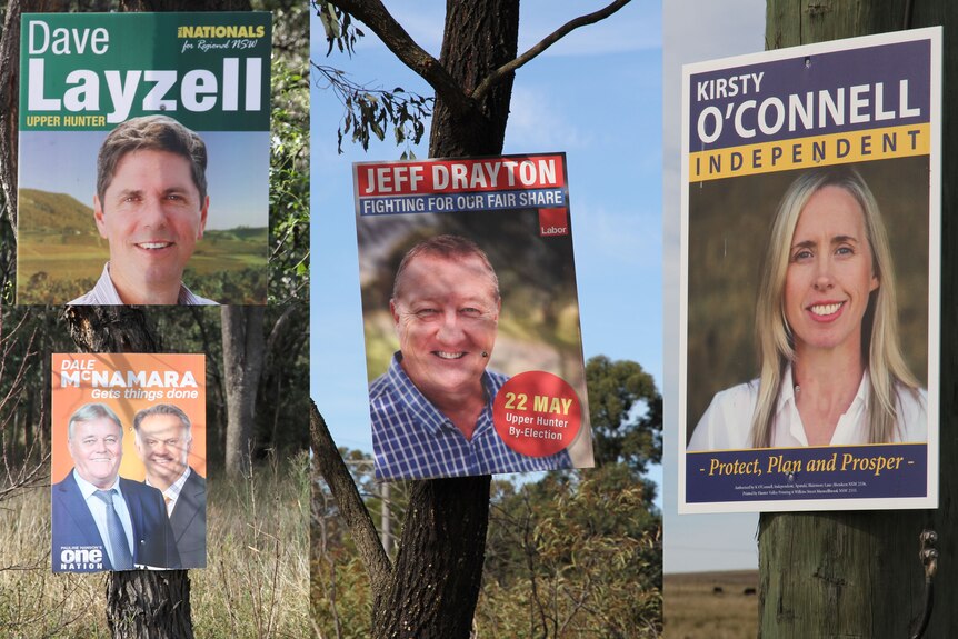 Different election signs up on trees and electrical poles