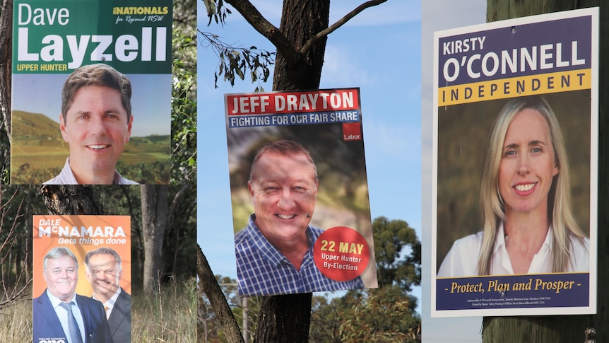 Different election signs up on trees and electrical poles