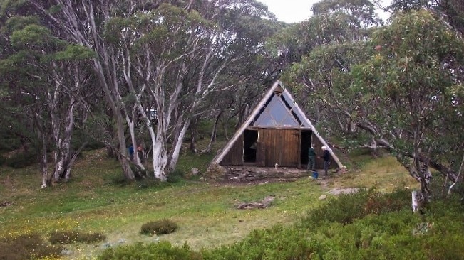 A tringle hut sits between trees in afield, it is wooden with glass at its top and two doors open.