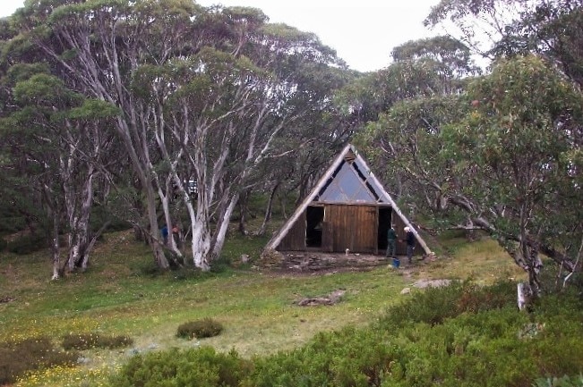 A triangle hut sits between trees in afield, it is wooden with glass at its top and two doors open.