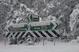 Road signs covered in snow