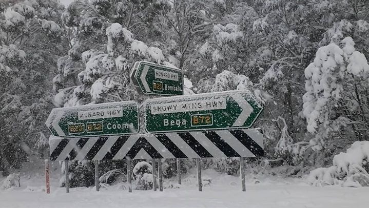 Road signs covered in snow