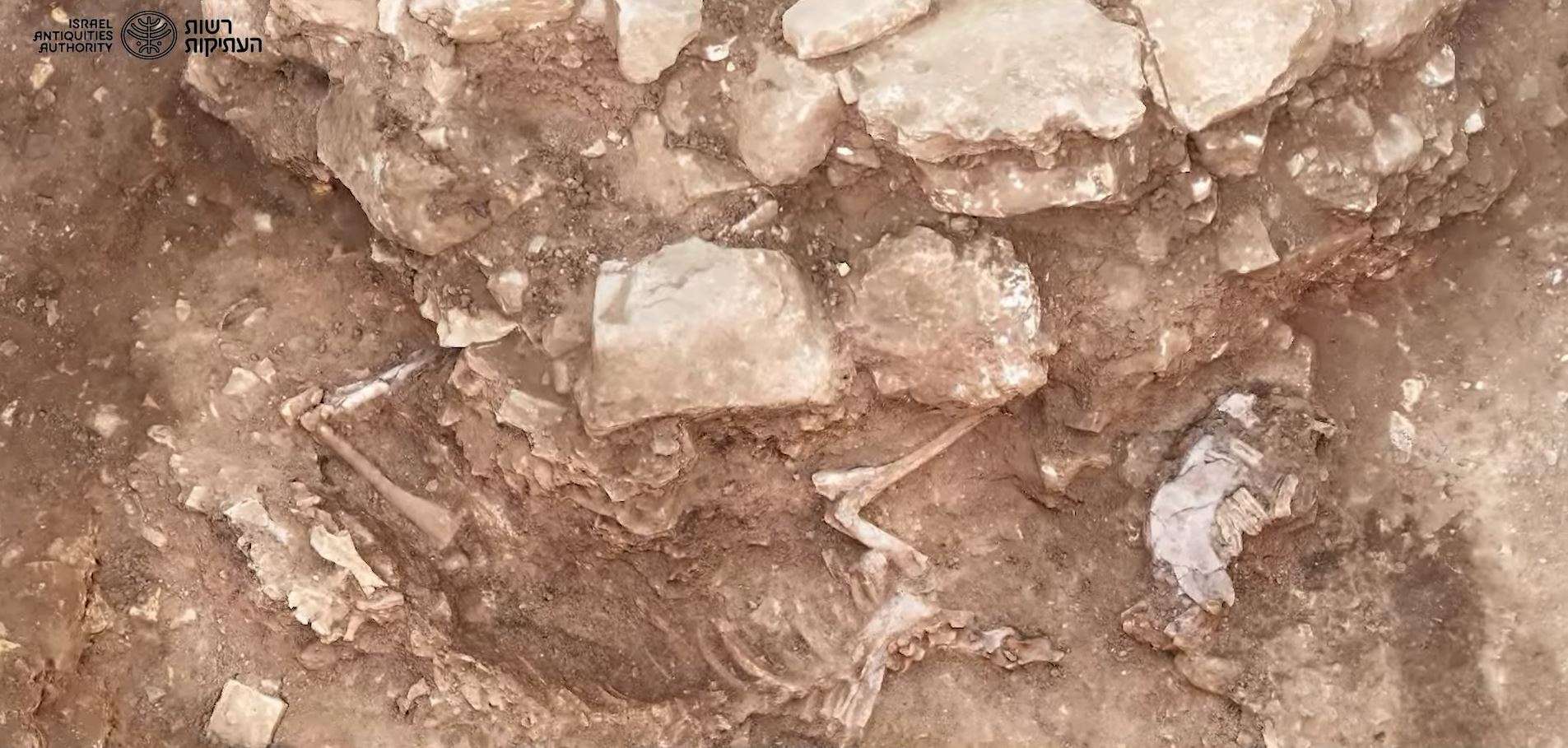 A bird's eye view photo shows a skeleton slightly revealed in brown soil.