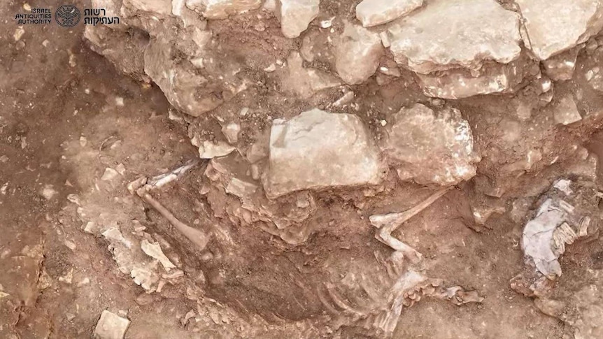 A bird's eye view photo shows a skeleton slightly revealed in brown soil.