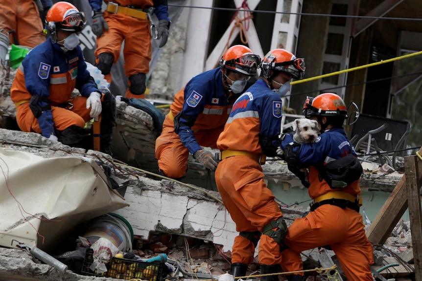 Rescue workers wearing hard hats stand amid rubble from a collapsed building, with one man carrying a small white dog.