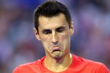 Bernard Tomic reacts