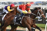 Press Statement wins Caulfield Guineas