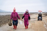 Two women hold a bucket between them as they walk along a South Korean island followed by a woman in a cart.;
