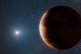 Illustration of a big brown planet and a distant white star