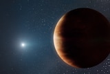 Illustration of a big brown planet and a distant white star