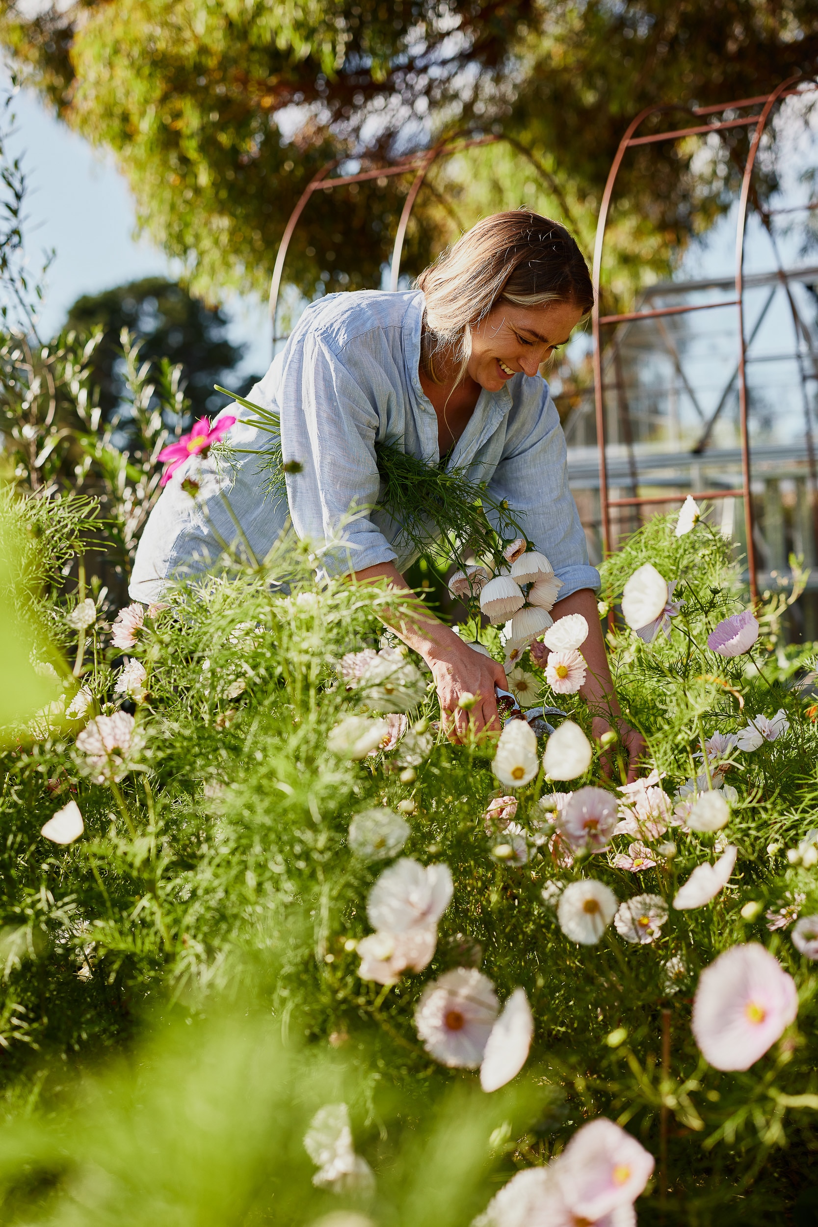 A beginner's guide to growing flowers to decorate your home