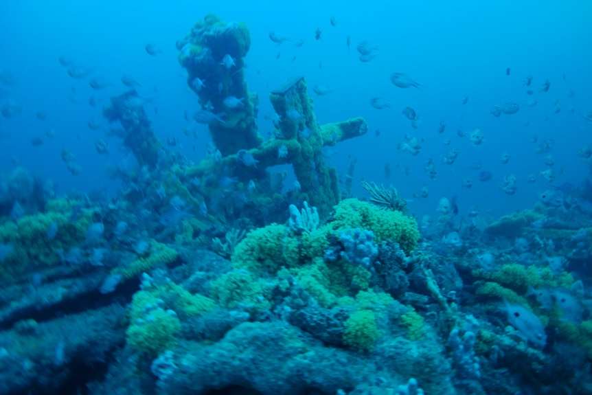 Shipwreck of the Carlisle