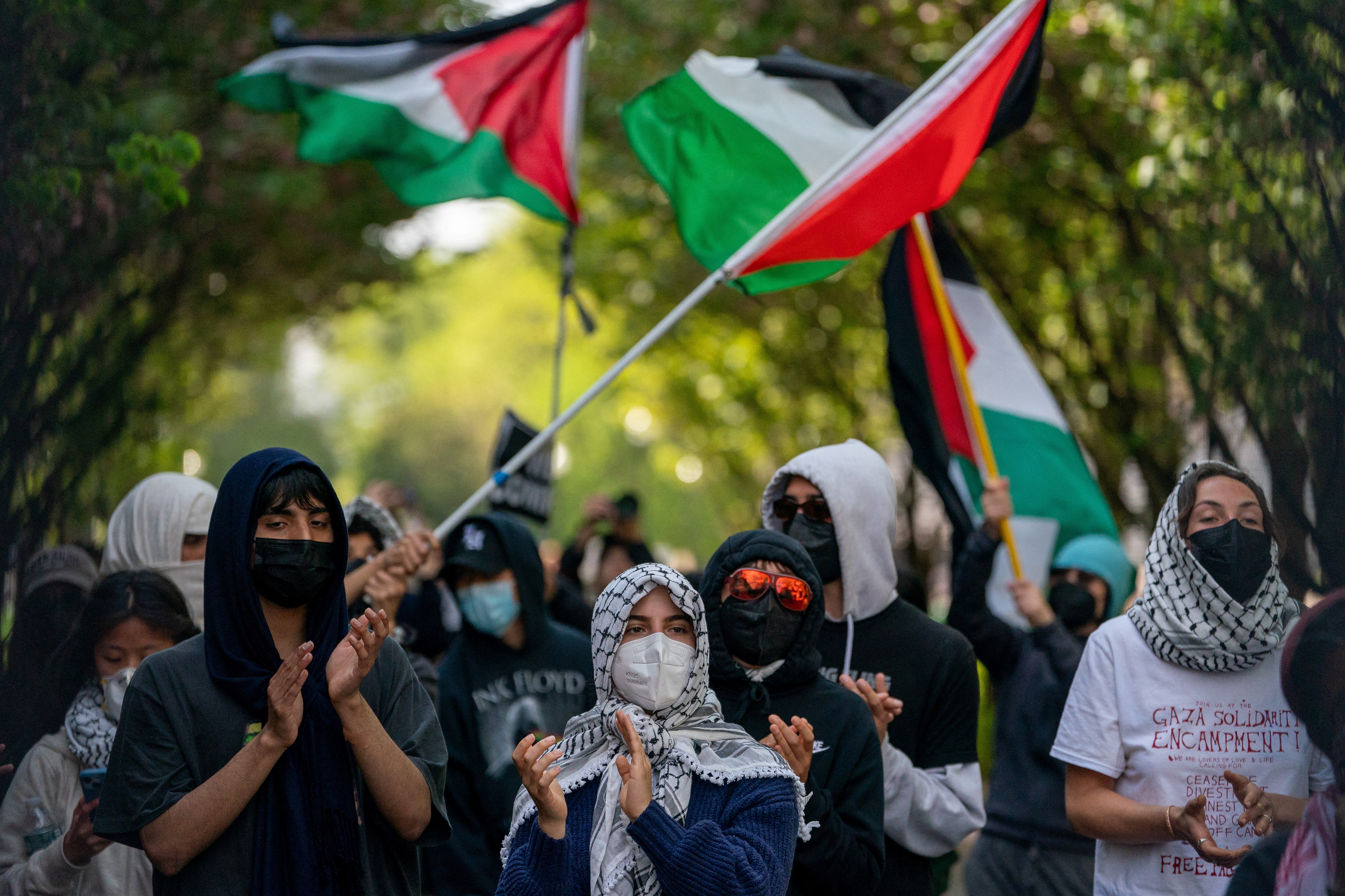 A group of people protests while waving Palestinian flags