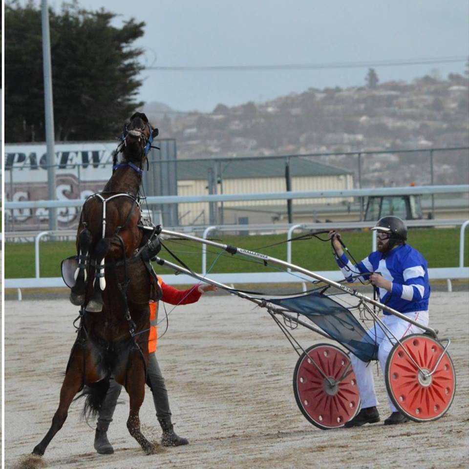 Tasmanian harness racing champion Wade Rattray fined, stood down, for ...