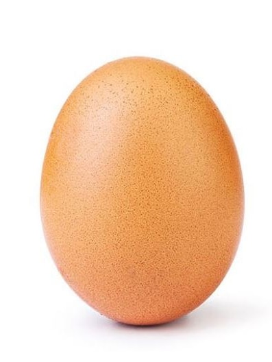 A single speckled egg, set against a white background.