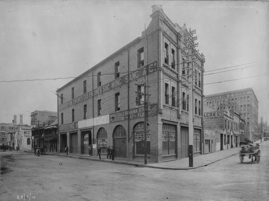 A Wing Sang & Co Ltd building corner of Hay and Sussex Streets, Haymarket, Sydney.