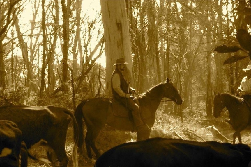 sepia image of man on horse surrounded by other horses