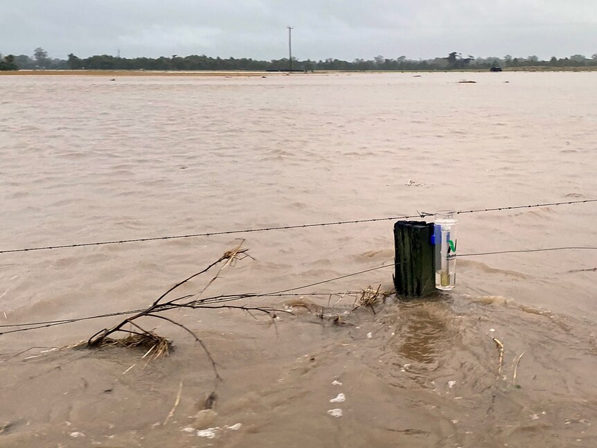 John Allen rain gague in flood water at Cowwarr