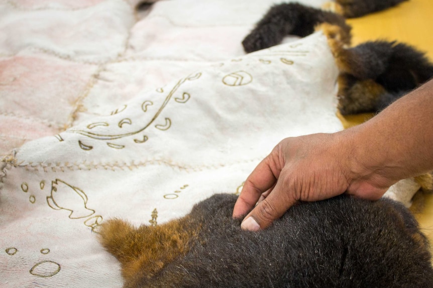 Up to 30 possums would have been used to create the large possum skin cloak