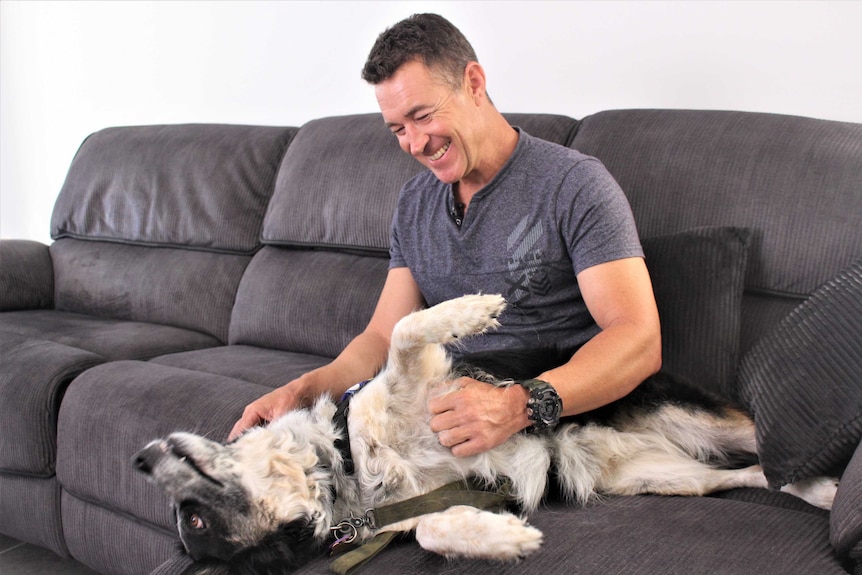 A middle-aged man sitting on a grey couch scratching his assistance dog.