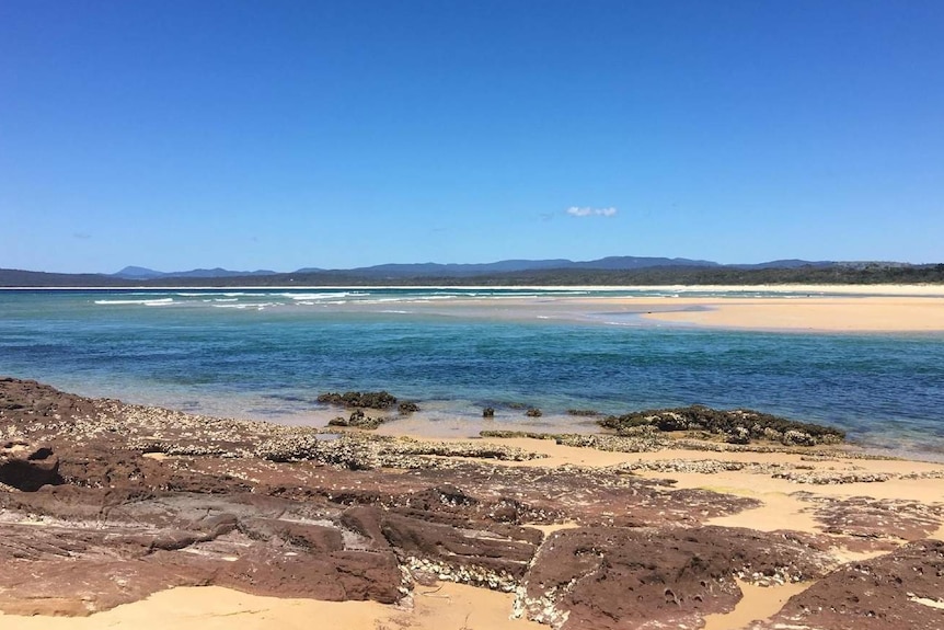 A beach and ocean