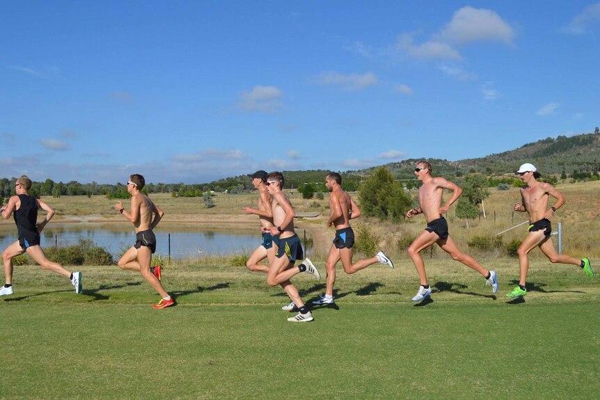 Athletes run as a group at the Stromlo Forest Park cross country course.