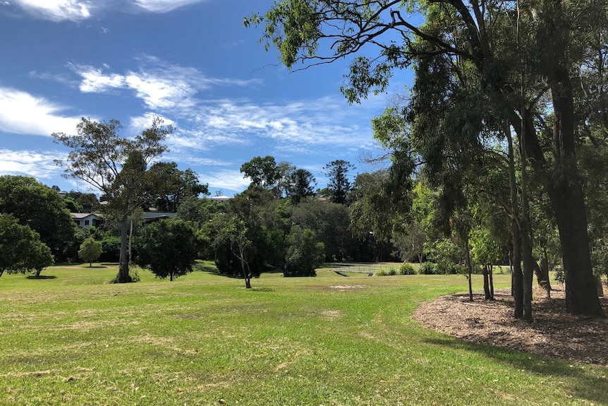 A park with green lawn and trees.