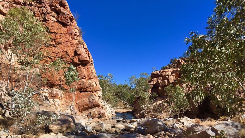 A rocky gorge with red rock and deep blue sky.