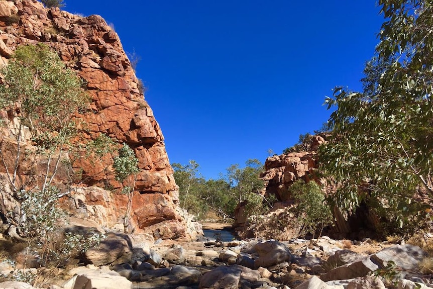 A rocky gorge with red rock and deep blue sky.