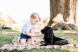 Prince George with his dog