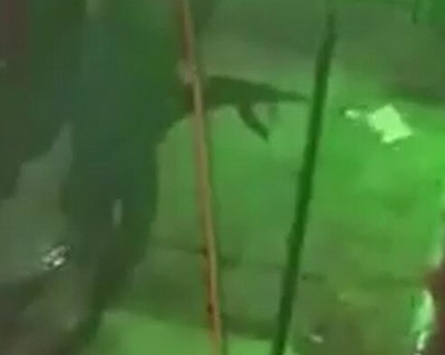 Bewaffnete erschießen 10 Menschen in Bar, als Welle der Gewaltkriminalität ...