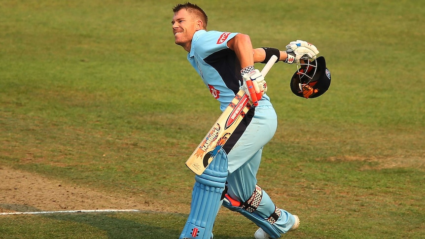 The Blues' David Warner celebrates a century against Victoria.