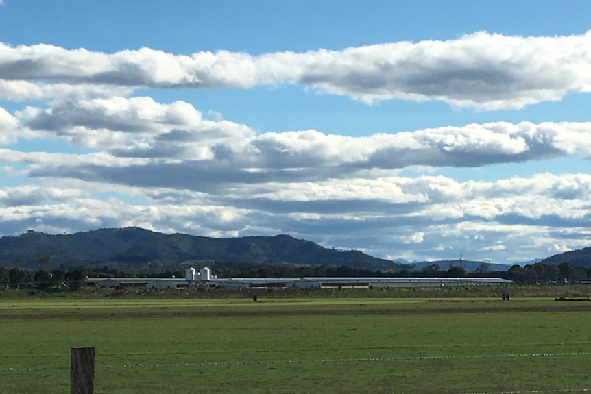 A poultry farm in the Scenic Rim