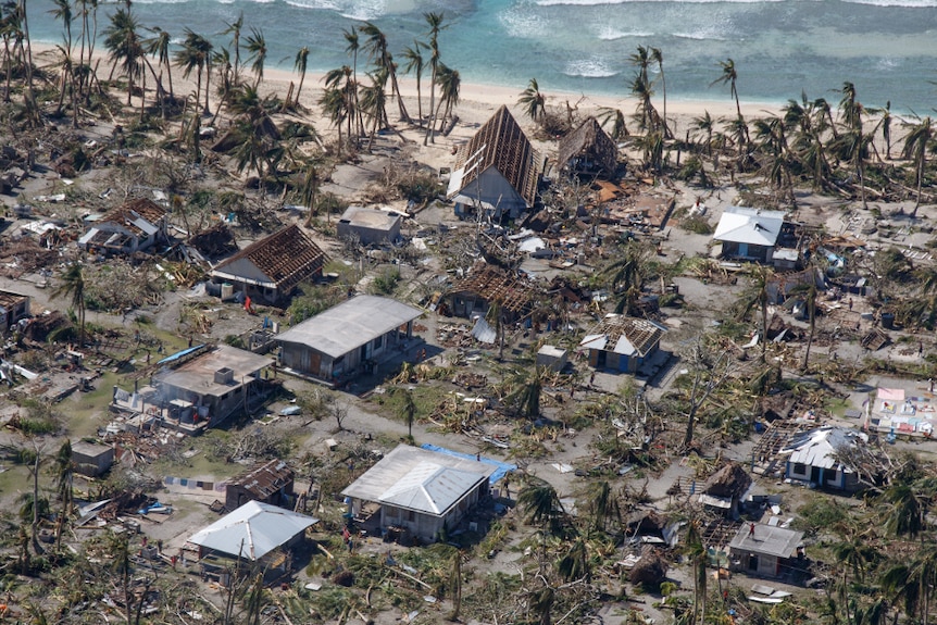 Trees bent and broken in face of Typhoon Maysak