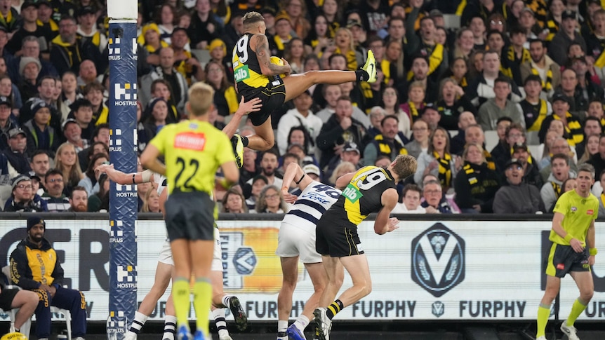 Shai Bolton flies high above a pack of players, kicking his right leg out as he completes a spectacular mark