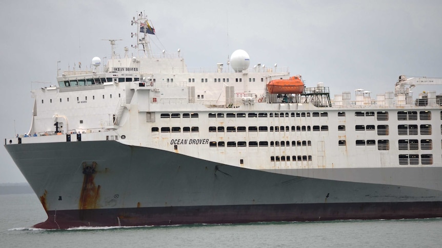 A huge live export ship, its hull a sombre, floats on a dreary looking ocean.