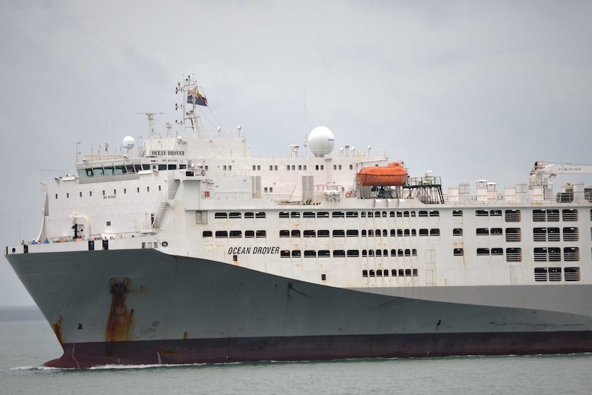 A huge live export ship, its hull a sombre, floats on a dreary looking ocean.