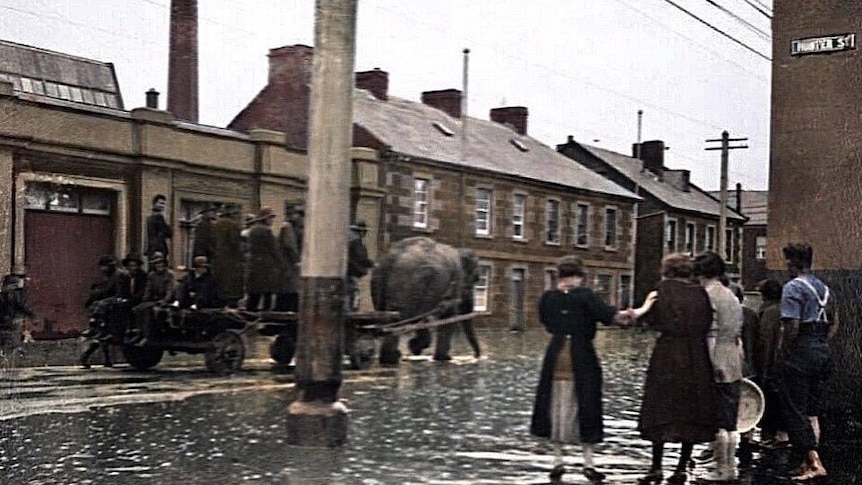 An elephant cart, Wapping, Hobart, 1901