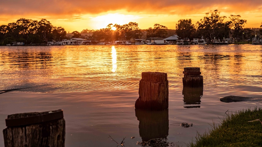 Murray River flooding in SA could expose Indigenous burial sites, elder warns