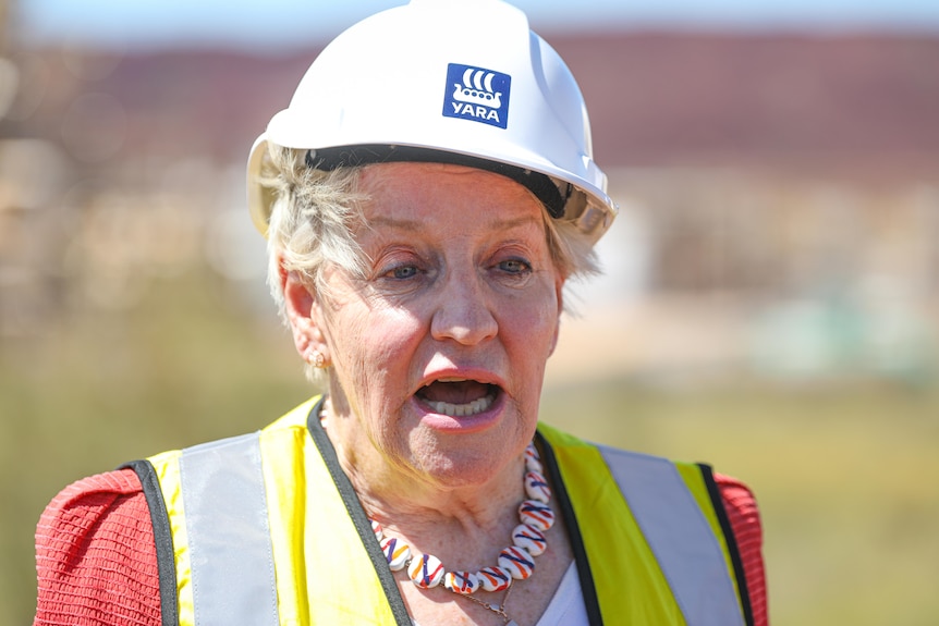 A woman wearing a hard hat in the middle of speaking