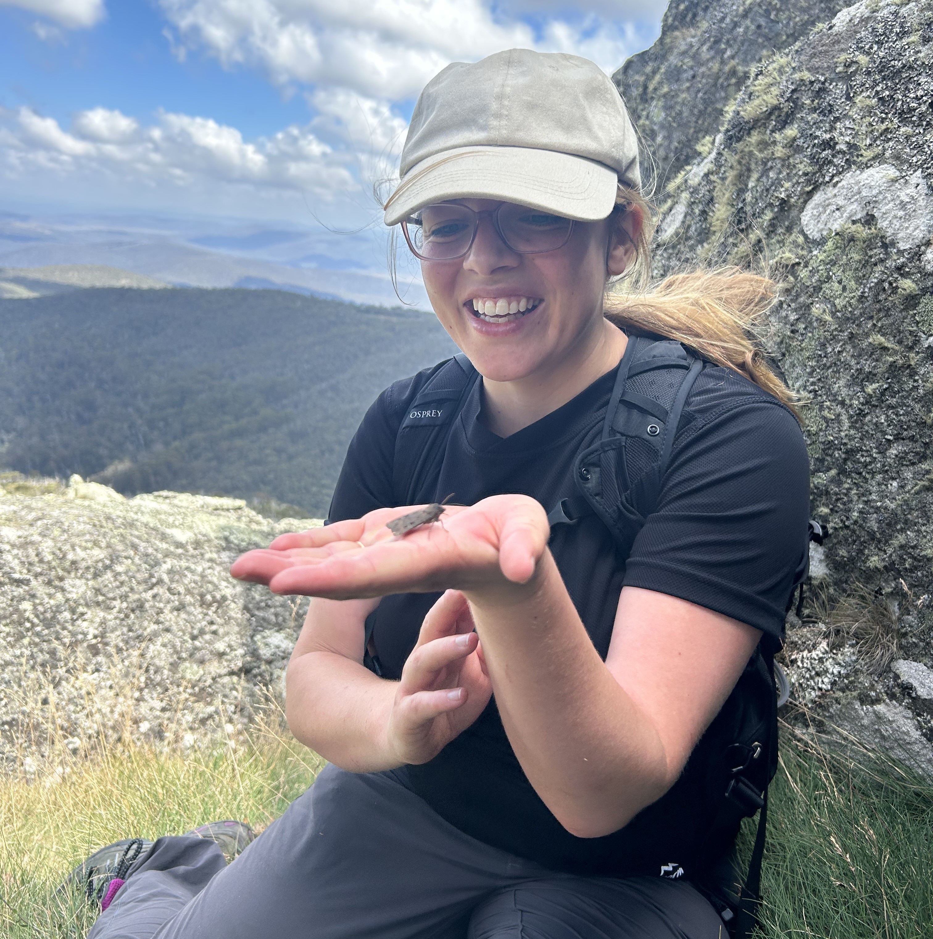 A woman holds a bogong moth in the palm of her hand