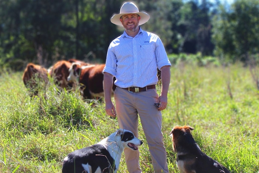 A man standing in a paddock with cattle in the background and dogs by his knees