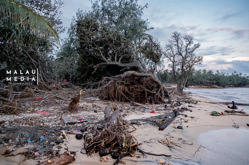 Fallen trees and debri on beach after tsunami.