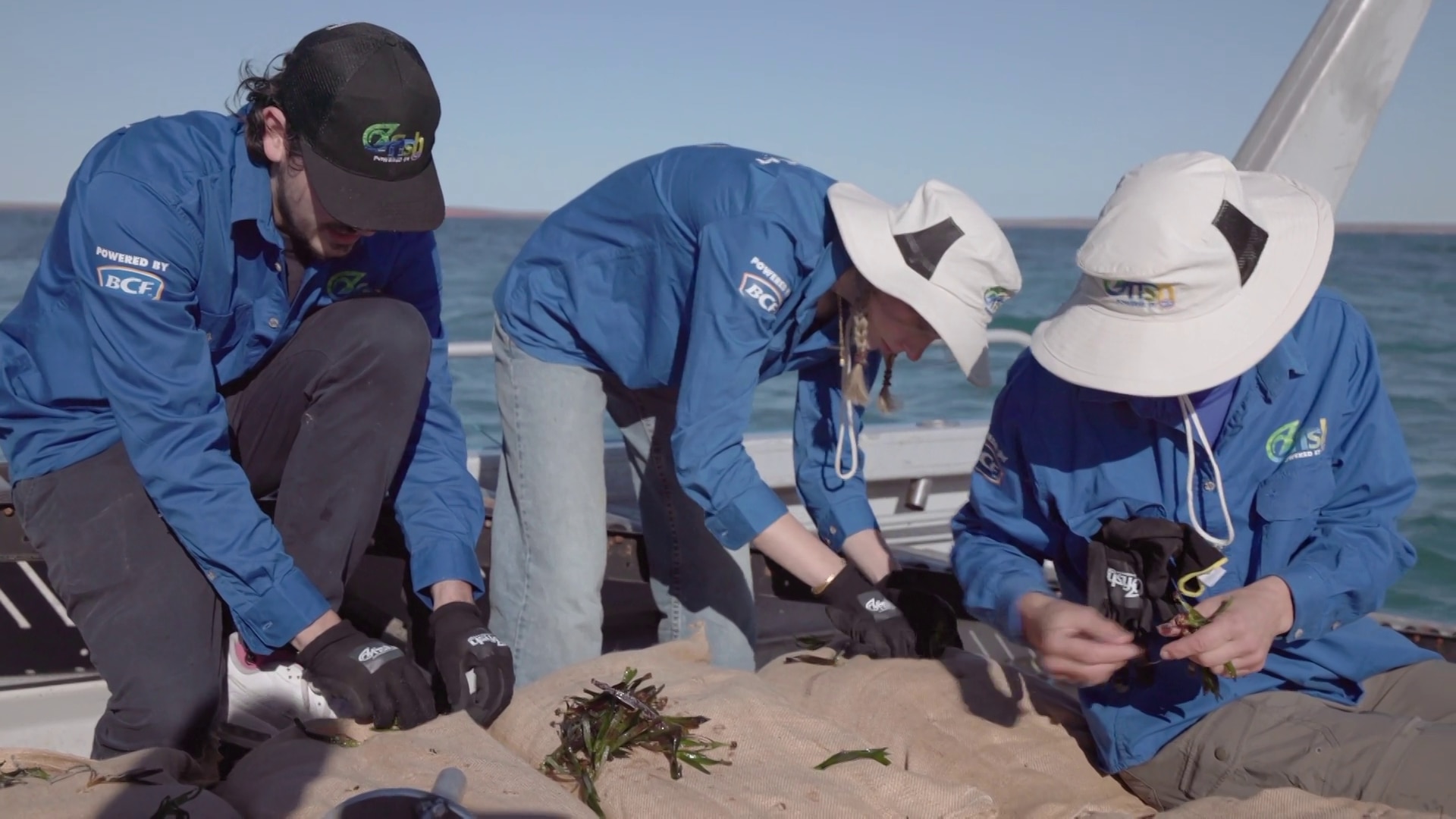 Tres personas se agachan y colocan plántulas en sacos de arena.