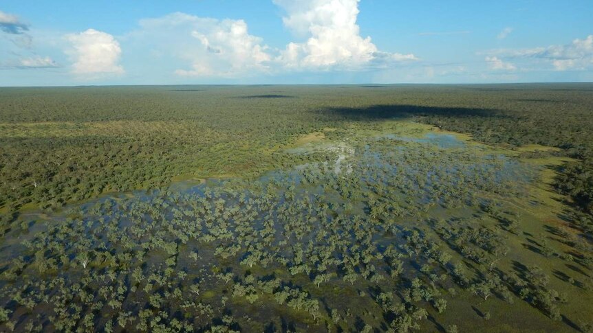 A vast outback landscape.